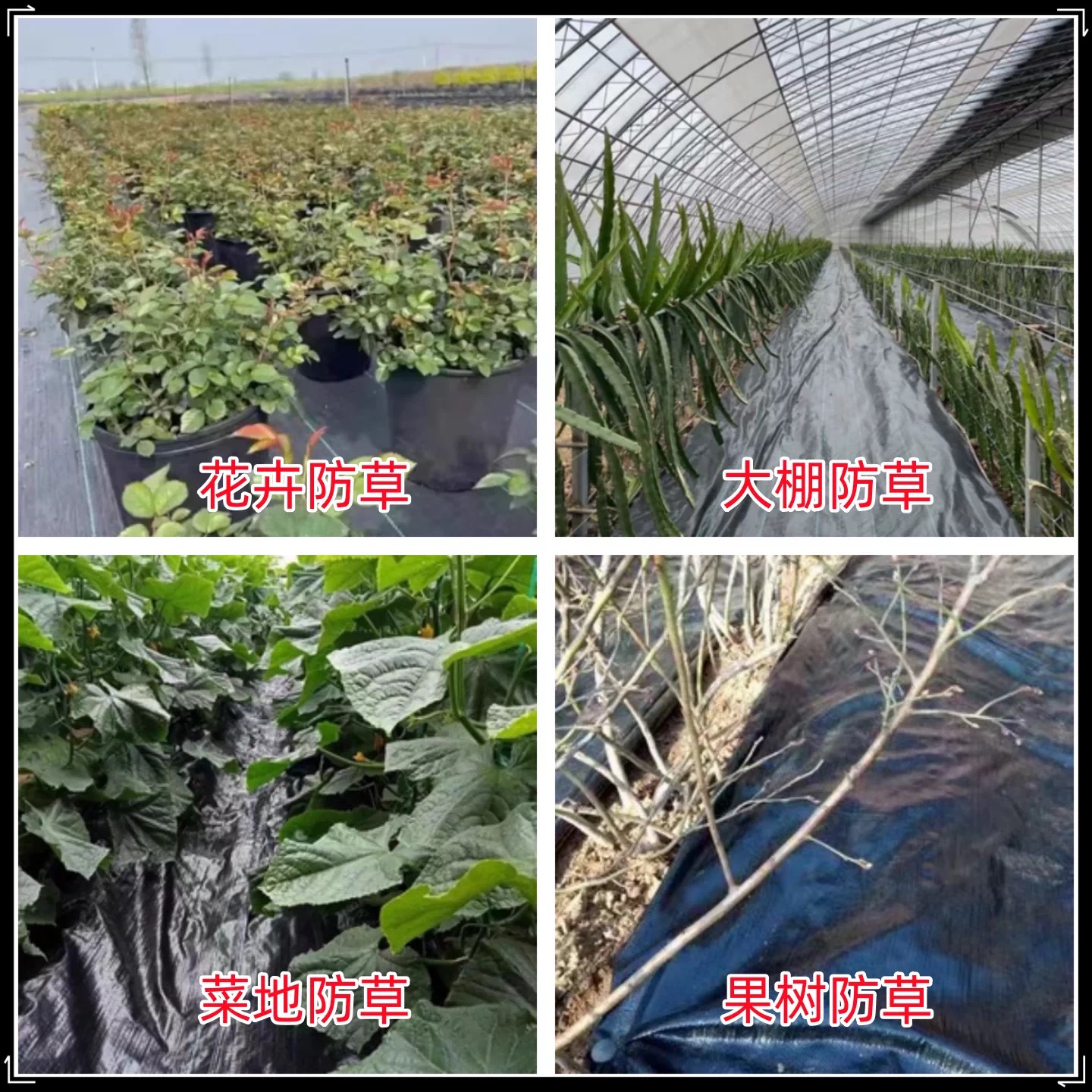 萍乡市防草布防草布 - 方案